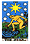 Tarot - The Star
