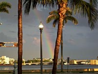 Astrology, Horoscopes and Tarot by Aphrodette North