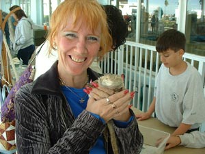 Astrology, Horoscopes and Tarot by Aphrodette North