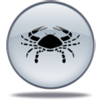 Cancer